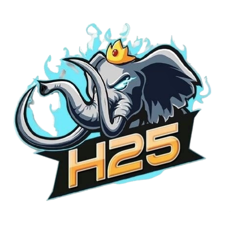 h25 icon